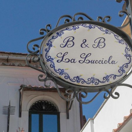 Apartament La Lucciola Amalfi Zewnętrze zdjęcie